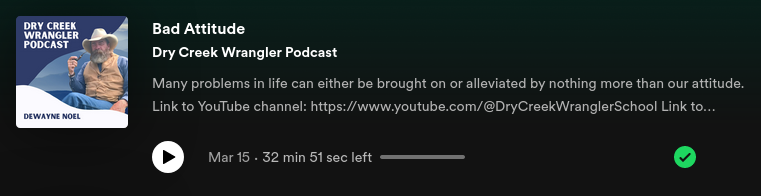 link to episode on spotify